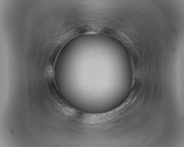 X0000113590045200909181340