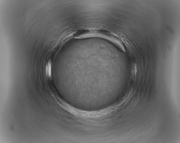 X0000113590046200909181340