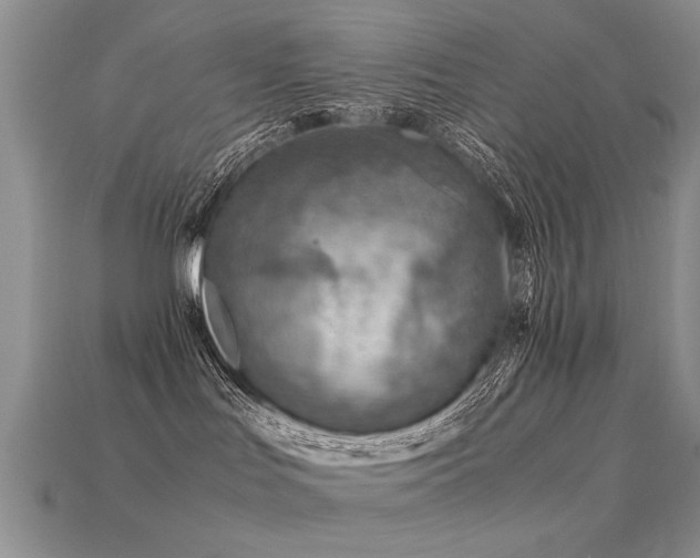 X0000113590047200909181340