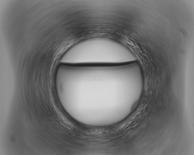 X0000113590049200909181340