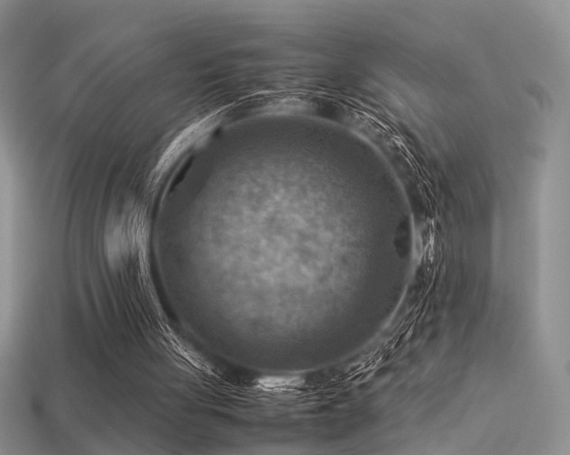 X0000113590051200909181340