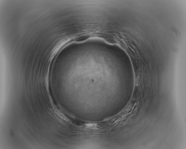 X0000113590052200909181340