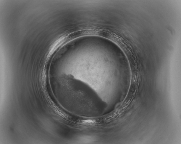 X0000113590053200909181340