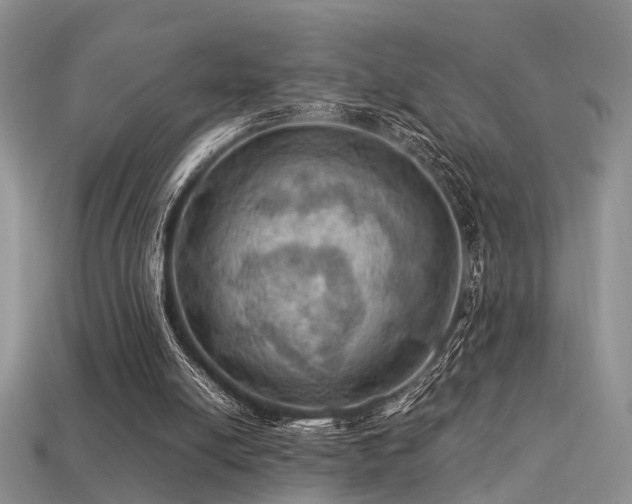 X0000113590054200909181340