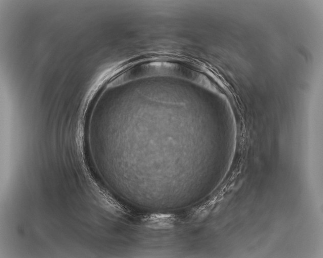 X0000113590055200909181340