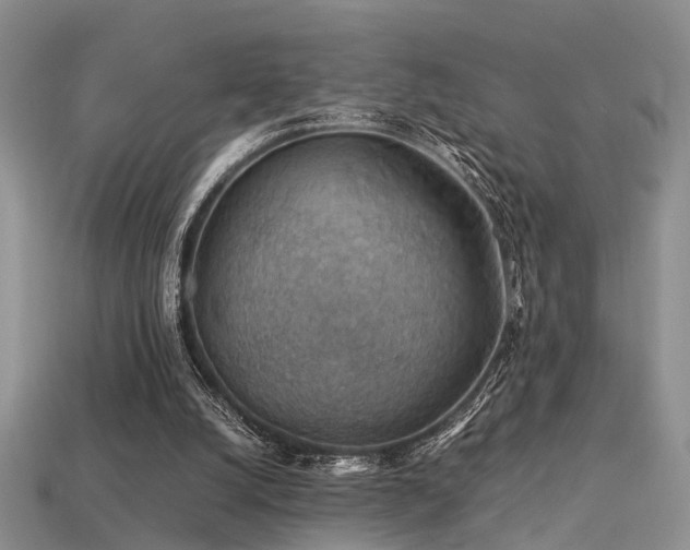 X0000113590056200909181340