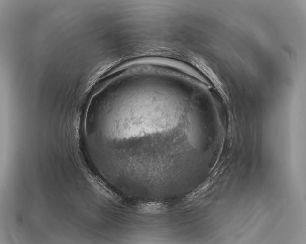 X0000113590058200909181340