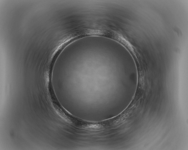 X0000113590059200909181340