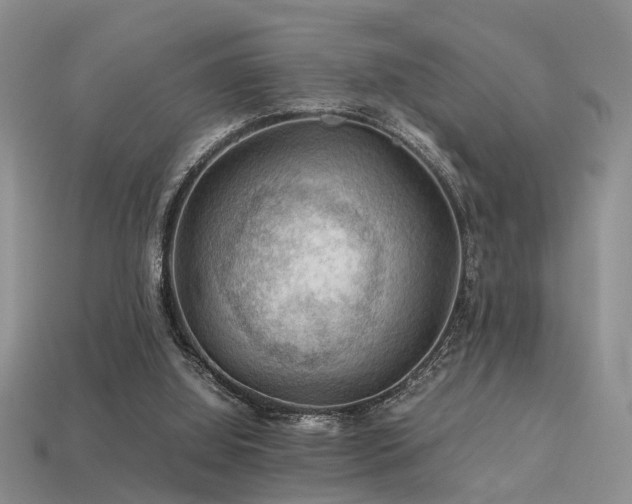 X0000113590060200909181340