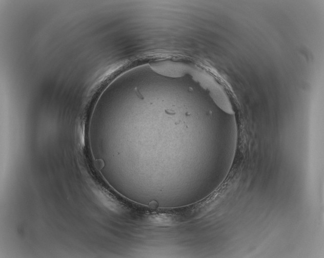 X0000113590062200909181340