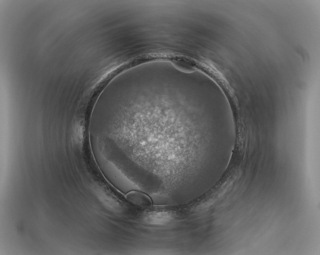 X0000113590063200909181340