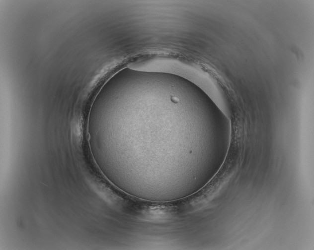 X0000113590064200909181340