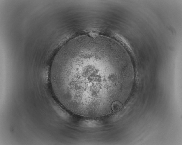 X0000113590065200909181340