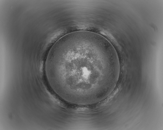 X0000113590066200909181340