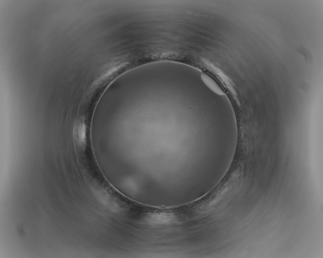 X0000113590067200909181340