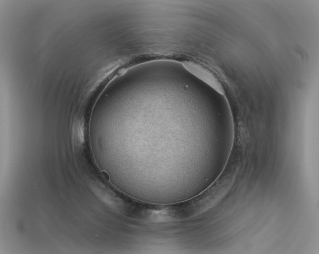 X0000113590068200909181340