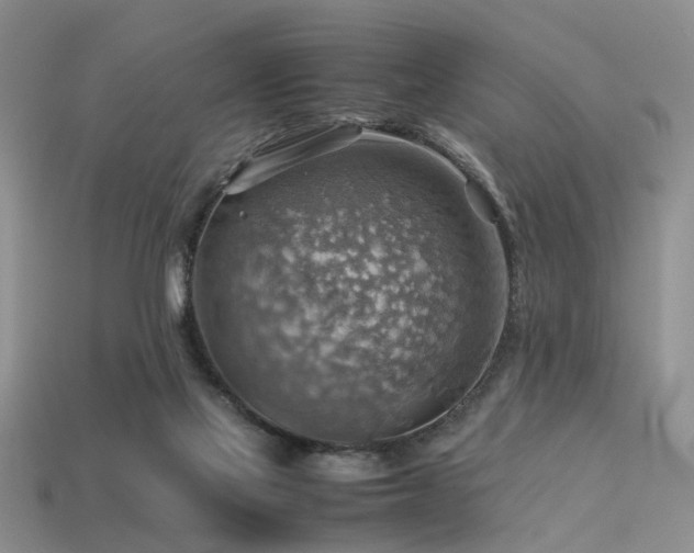 X0000113590069200909181340