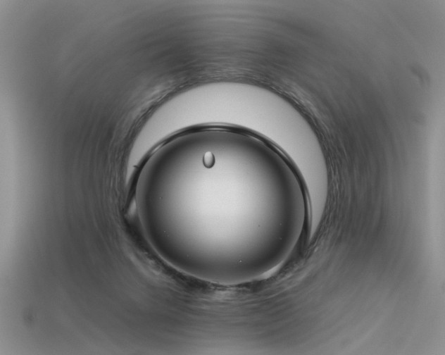 X0000113590072200909181340