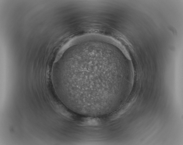 X0000113590073200909181340