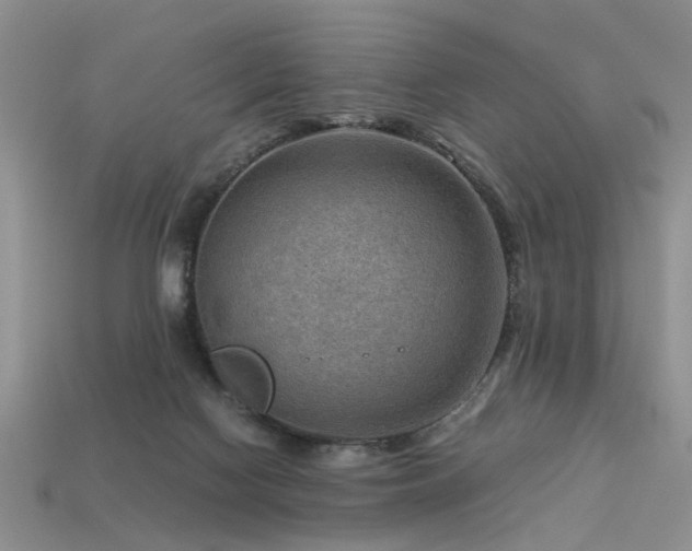 X0000113590074200909181340