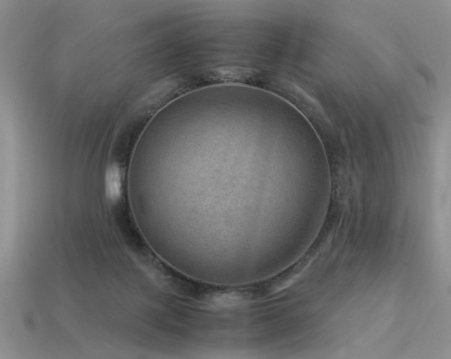 X0000113590075200909181340