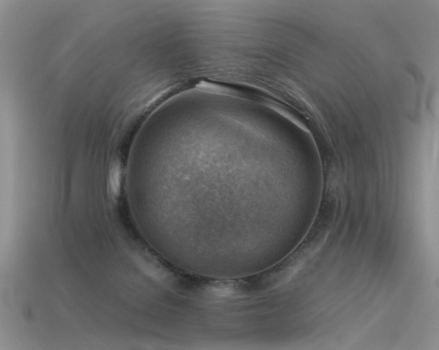 X0000113590076200909181340