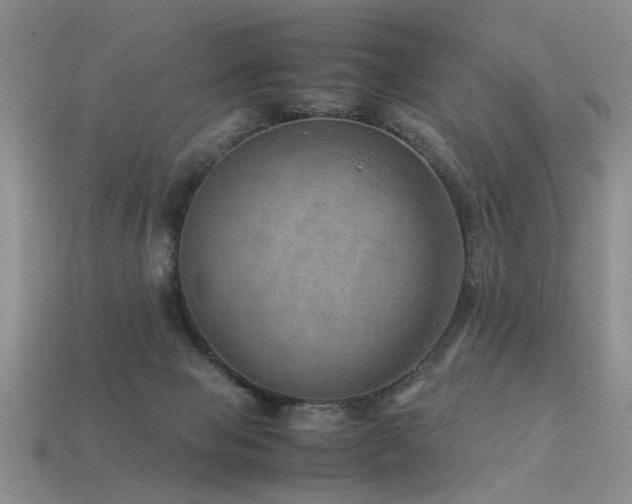 X0000113590077200909181340