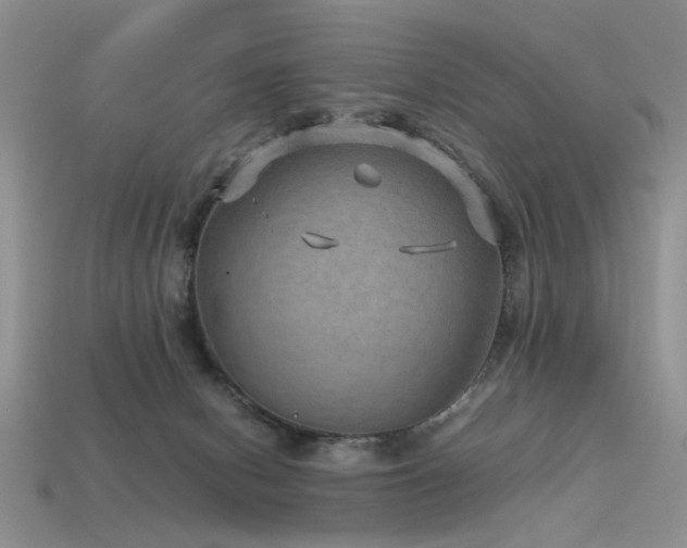 X0000113590078200909181340