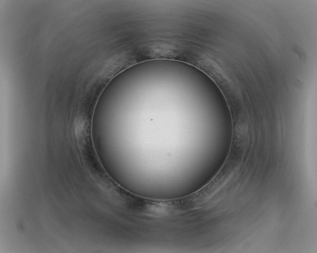 X0000113590079200909181340