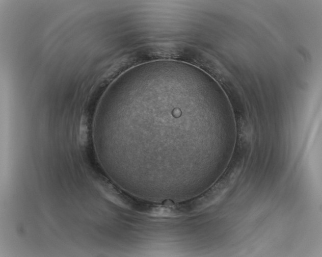 X0000113590080200909181340