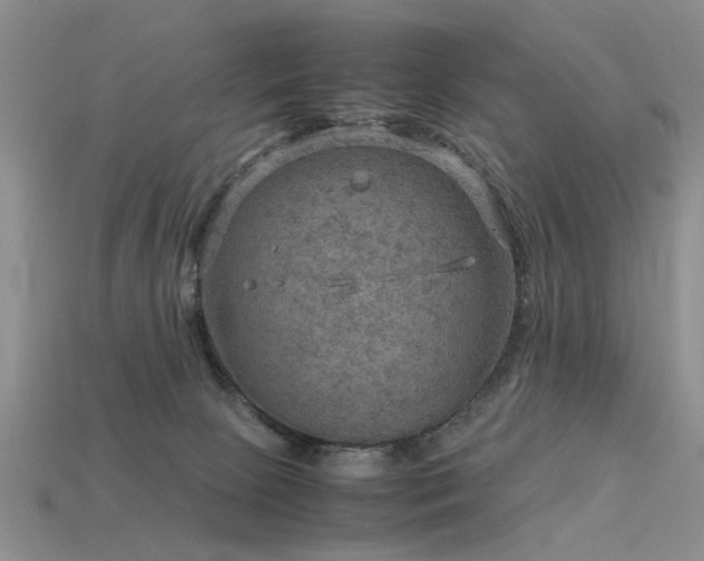 X0000113590081200909181340