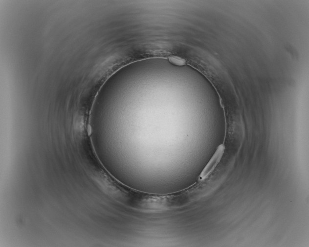 X0000113590084200909181340