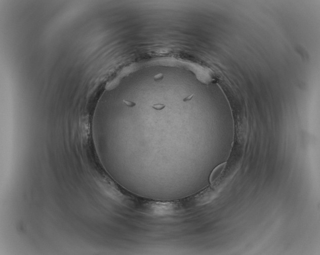 X0000113590085200909181340