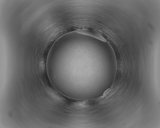 X0000113590086200909181340