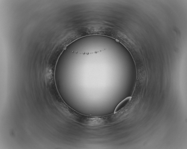 X0000113590087200909181340