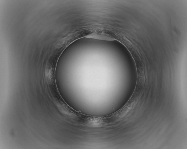 X0000113590088200909181340