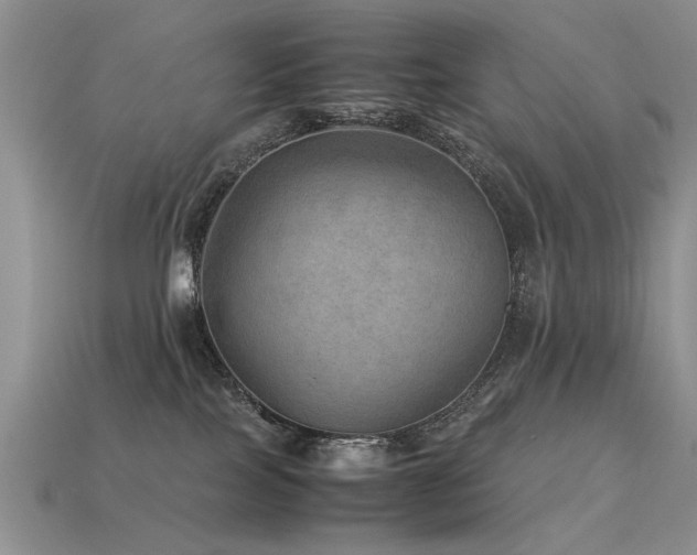 X0000113590089200909181340