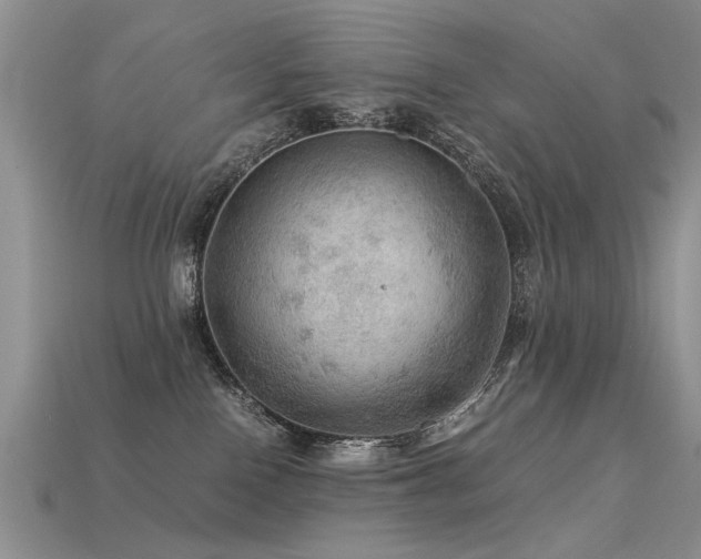 X0000113590090200909181340