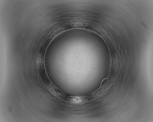 X0000113590091200909181340