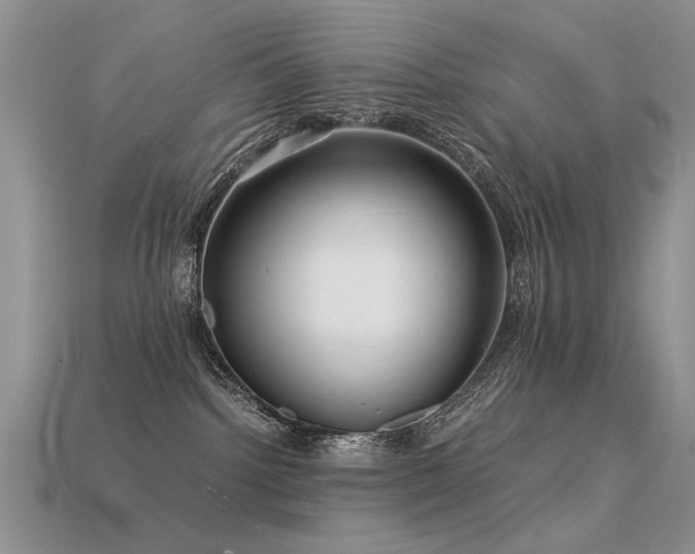 X0000113590092200909181340