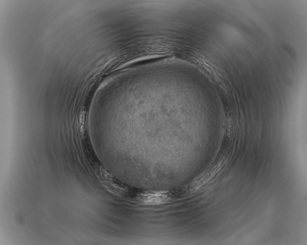 X0000113590093200909181340