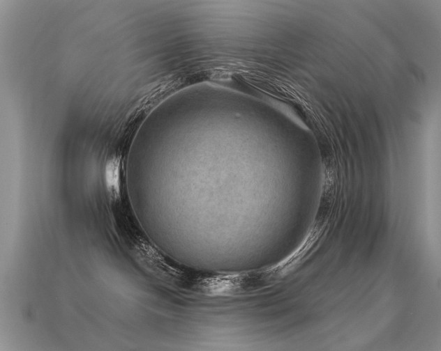 X0000113590094200909181340