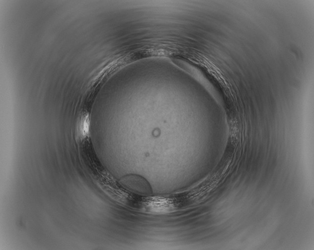 X0000113590095200909181340