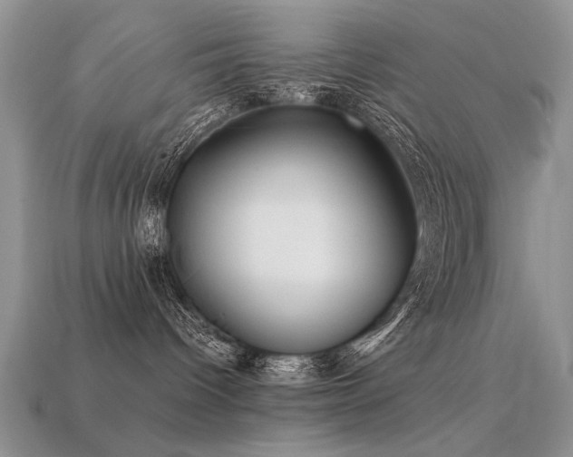 X0000113590096200909181340