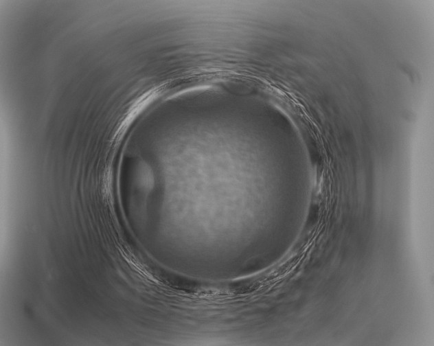 X0000113590099200909181340