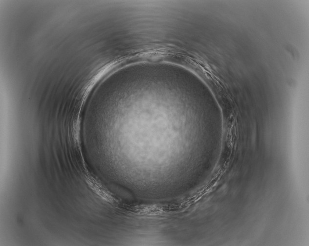 X0000113590100200909181340