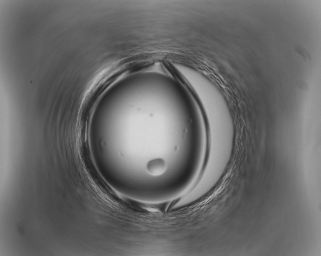 X0000113590101200909181340