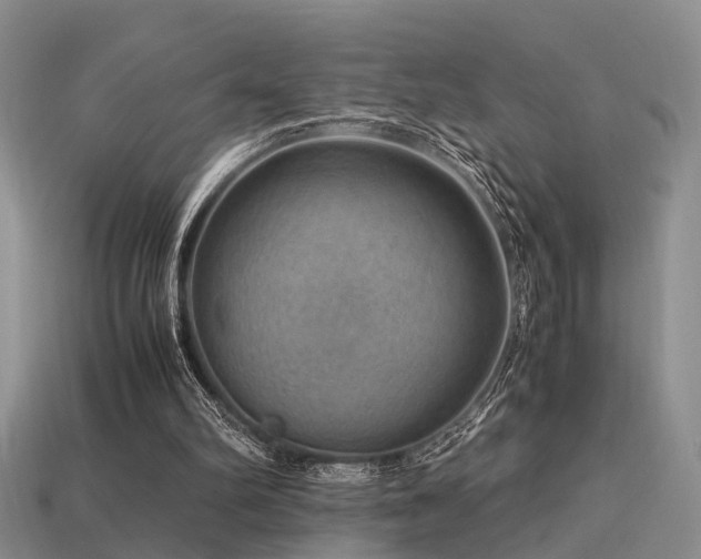 X0000113590102200909181340