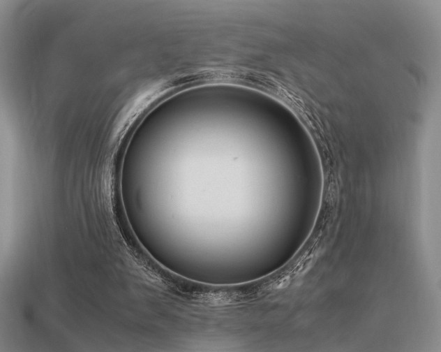 X0000113590103200909181340