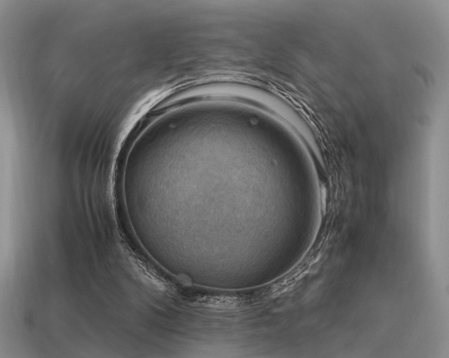 X0000113590104200909181340